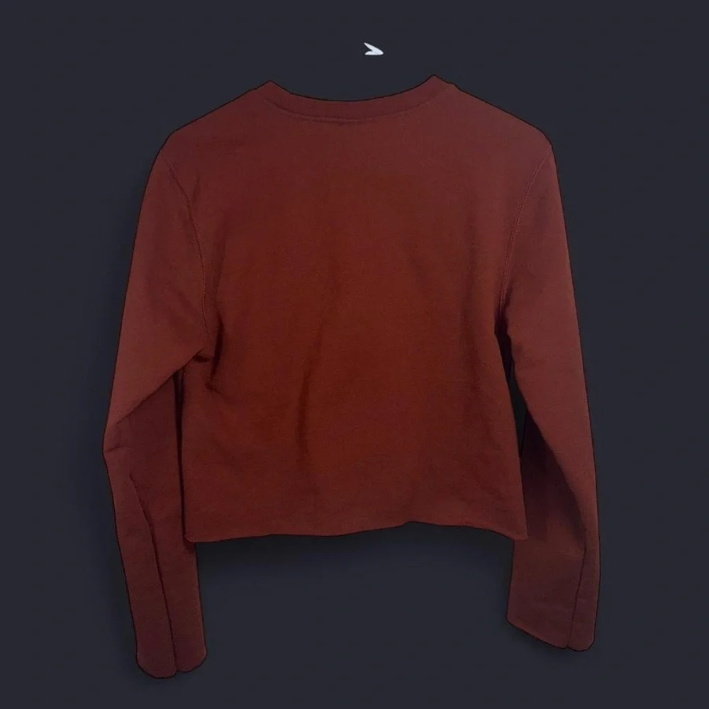 The North Face Gorpcore Men’s Cropped Crewneck Sweatshirt Brown